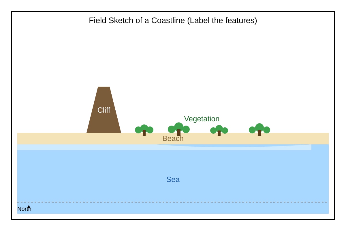 Figure for Q20 (SEC1 Geography)