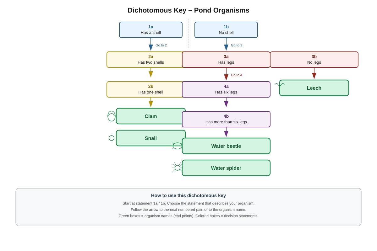 Dichotomous Key for Q7 (P5 Science)