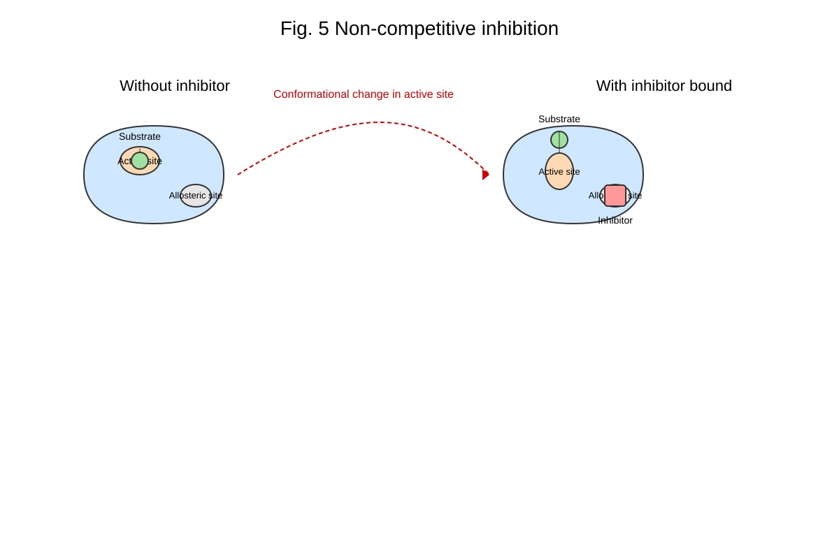 Diagram for Q19 (ALEVEL Biology H2)