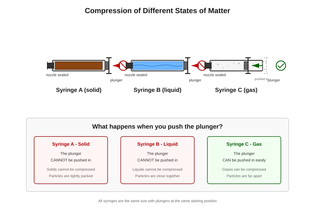 Diagram for Q3 (P4 Science)