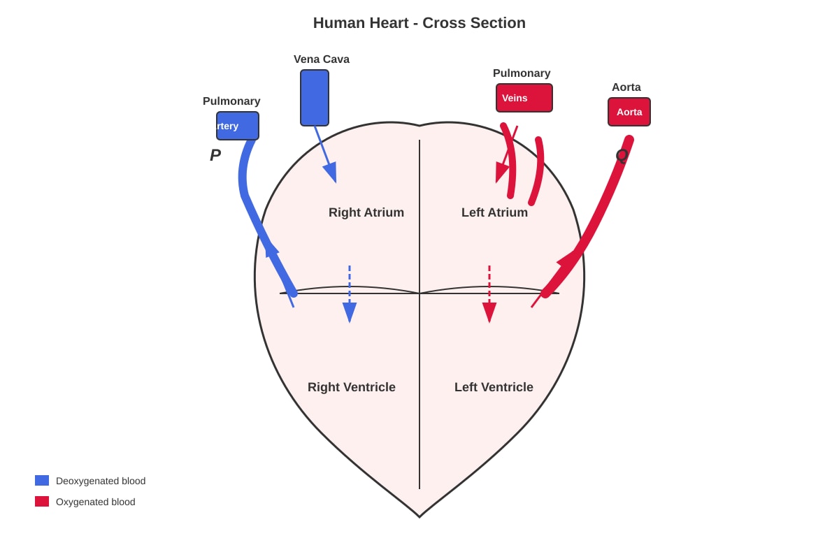 Diagram for placeholder 1 (SEC3 Combined Science)