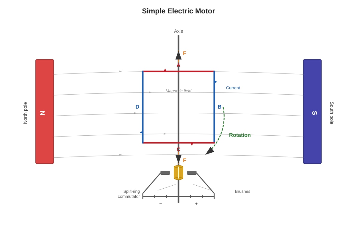 Diagram for placeholder 1 (SEC3 Combined Science)