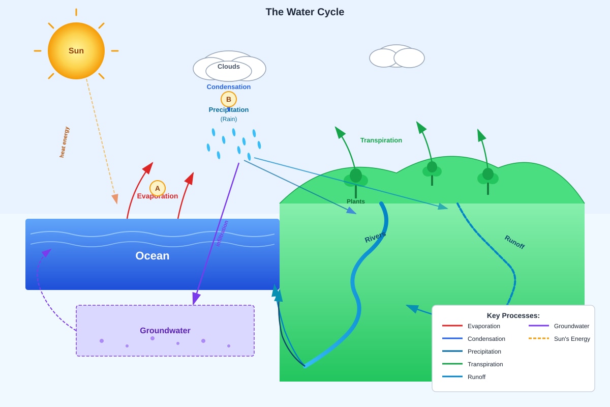 Diagram for Q32 (P5 Science)