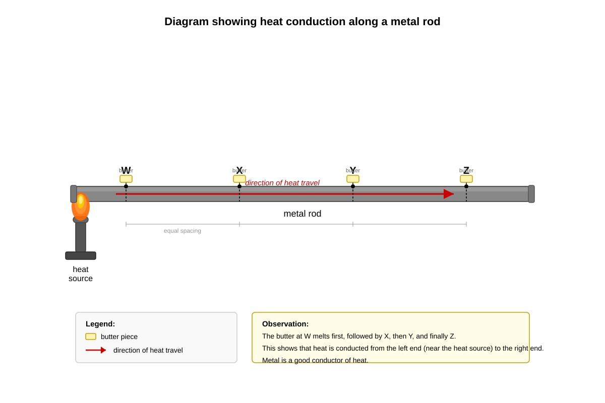 Diagram for Q11 (P4 Science)