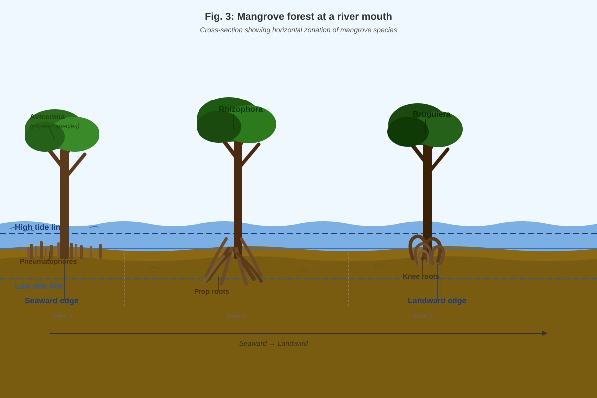 Diagram for Q13 (SEC2 Geography)