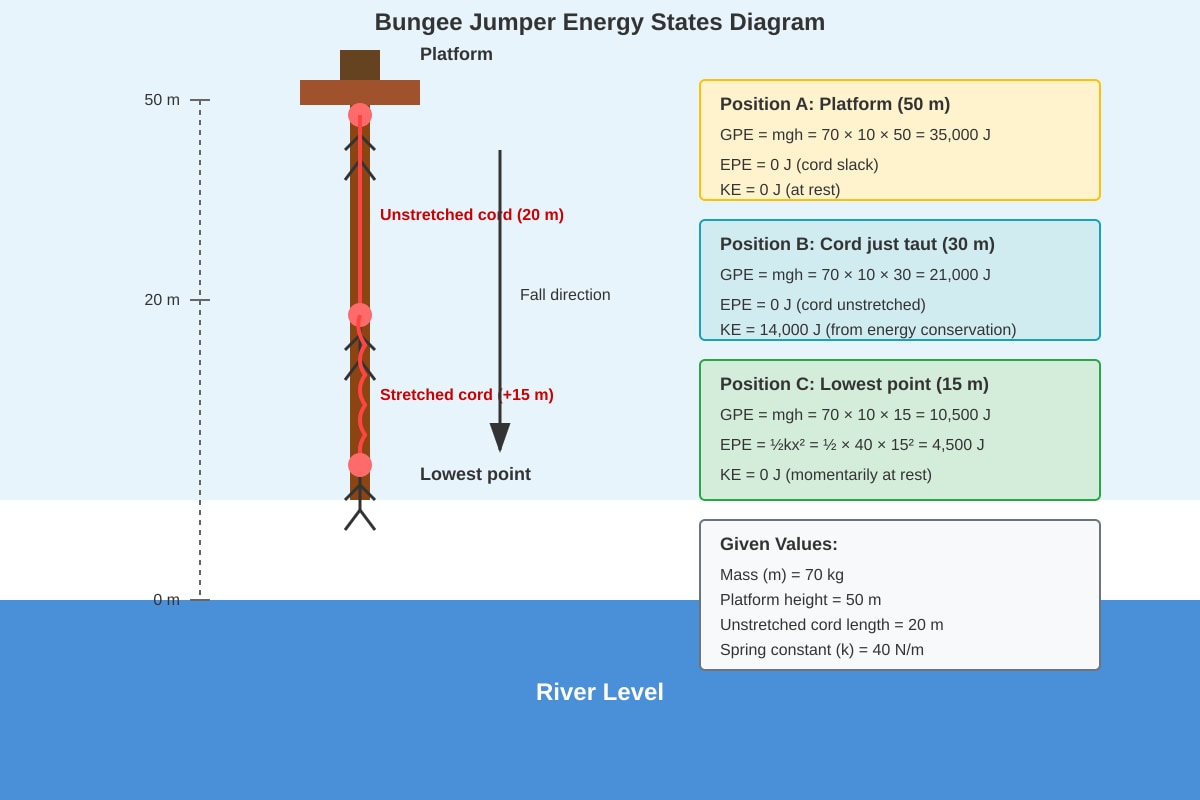 Diagram for Q20 (SEC2 Science)