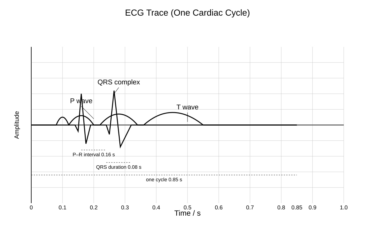 Graph for Q14 (ALEVEL Biology H1)