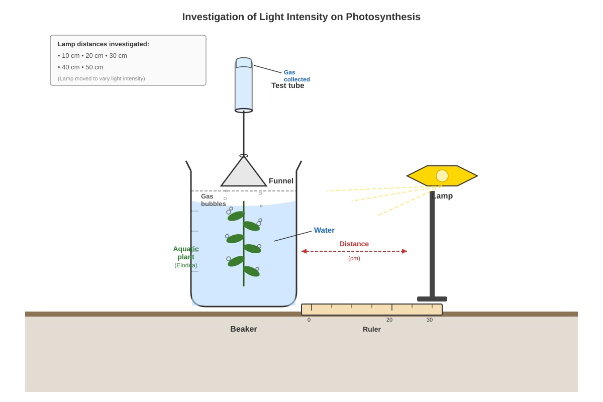 Experimental Setup for Q12 (SEC1 Science)