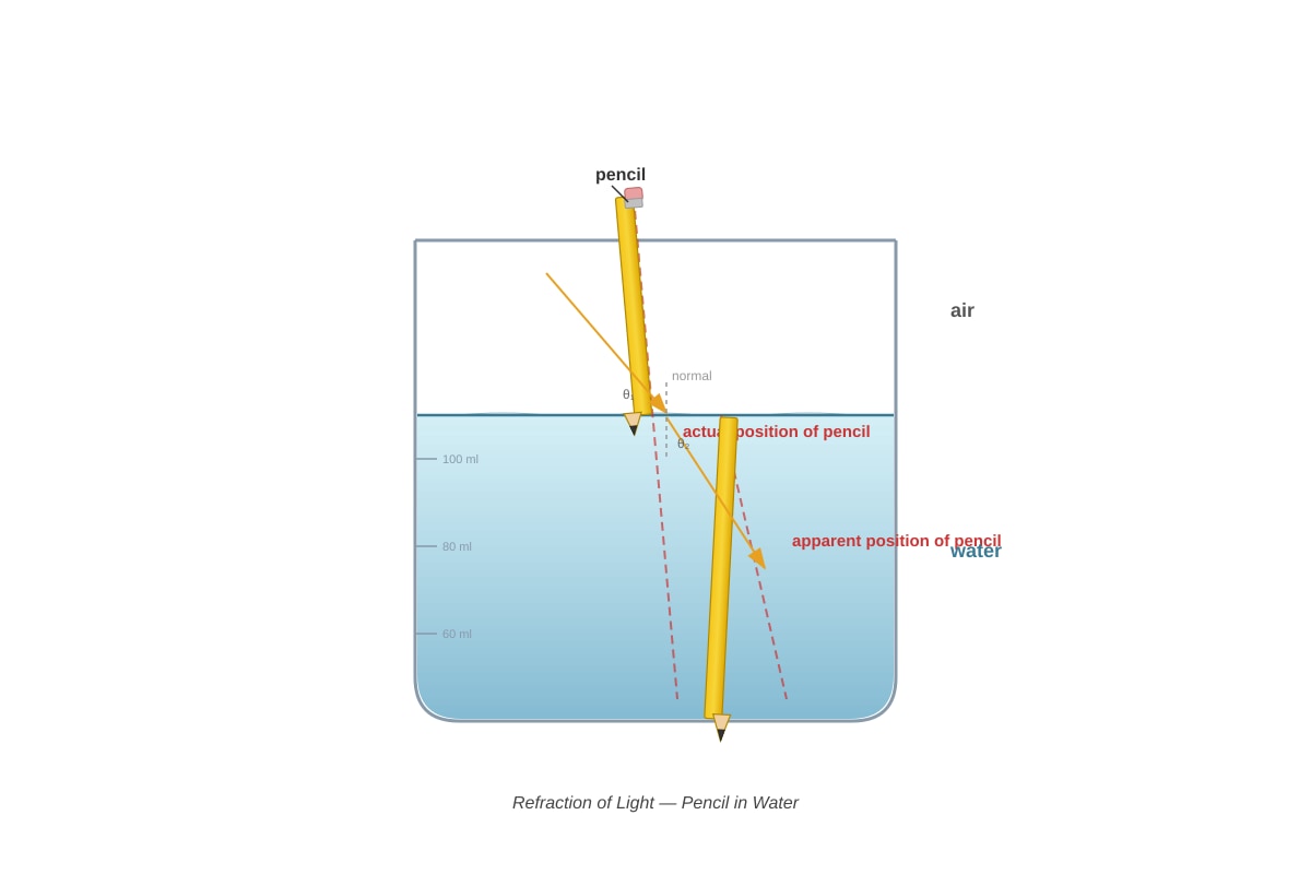 Diagram for Q8 (P5 Science)