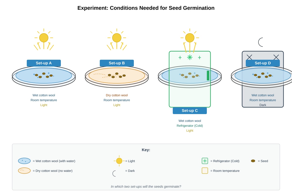 Experimental Setup for Q10 (P5 Science)