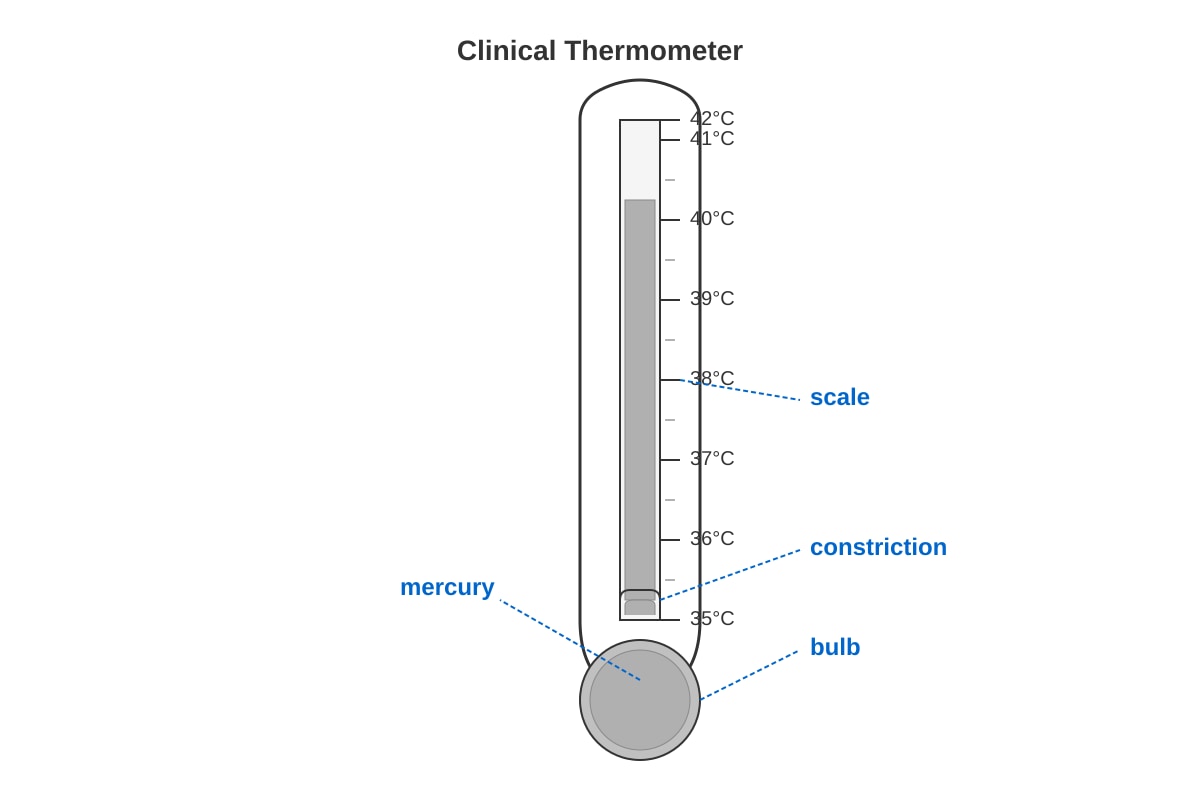 Diagram for Q17 (P4 Science)