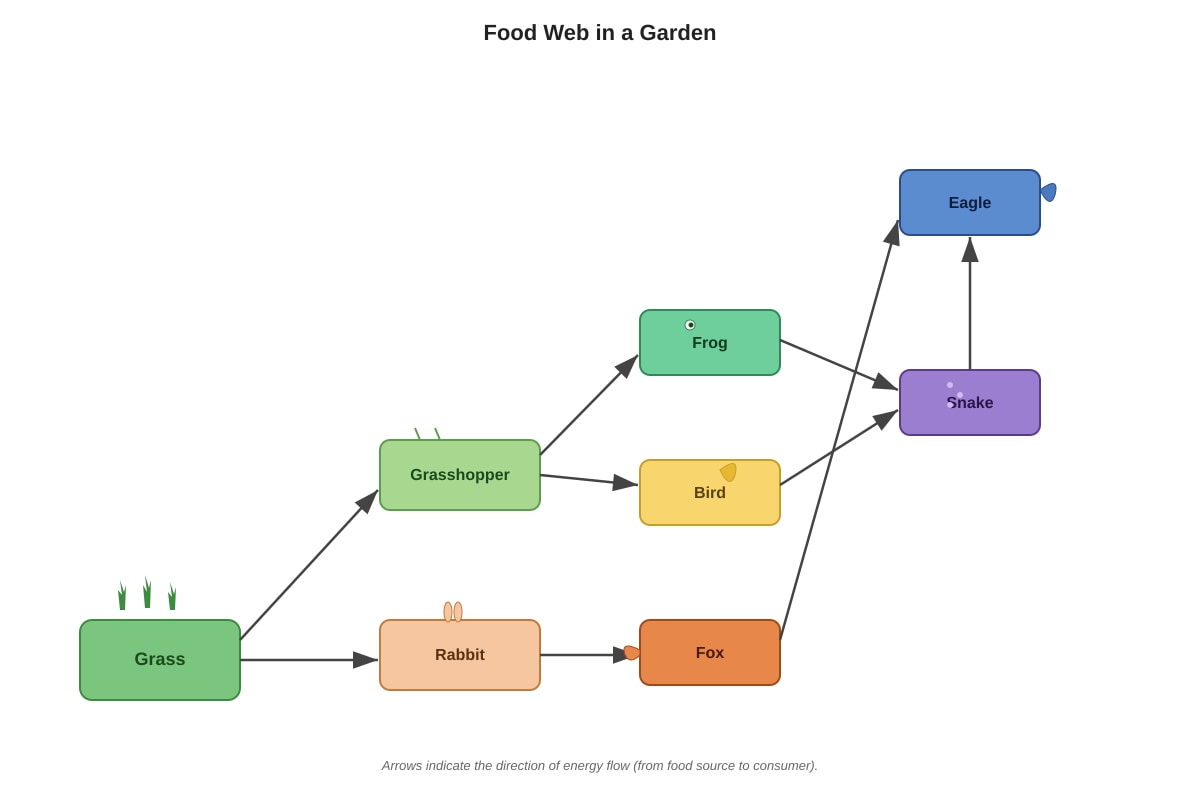 Diagram for Q4 (P6 Science)