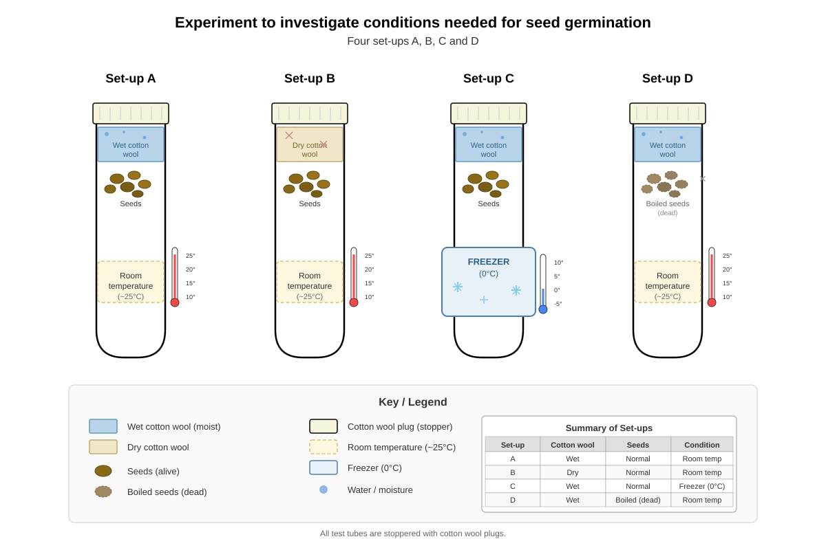 Experimental Setup for Q36 (P6 Science)