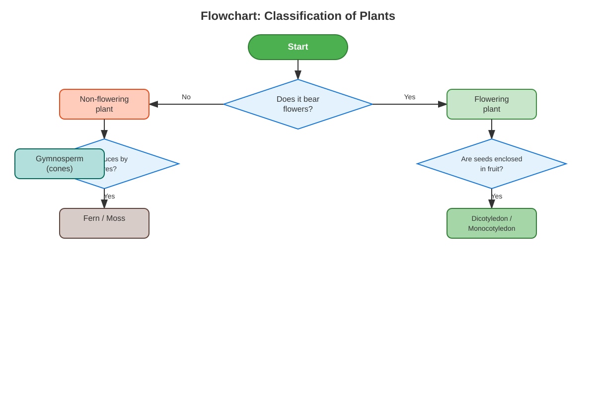 Diagram for Q30 (P6 Science)