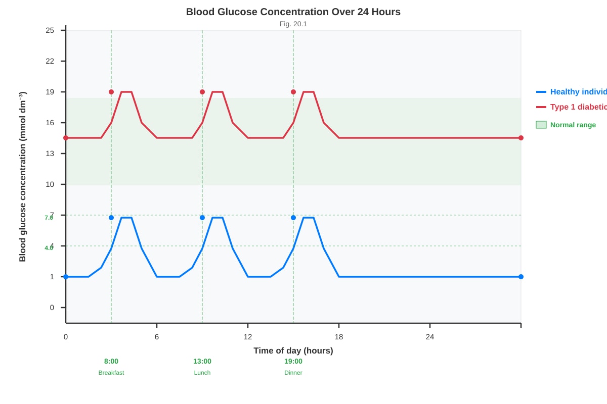 Graph for Q20 (ALEVEL Biology H2)