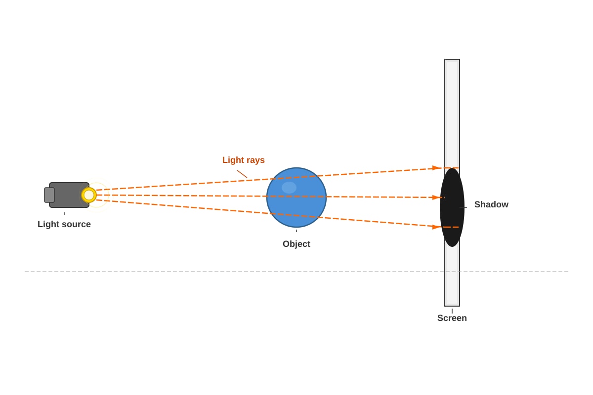 Diagram for Q28 (P5 Science)