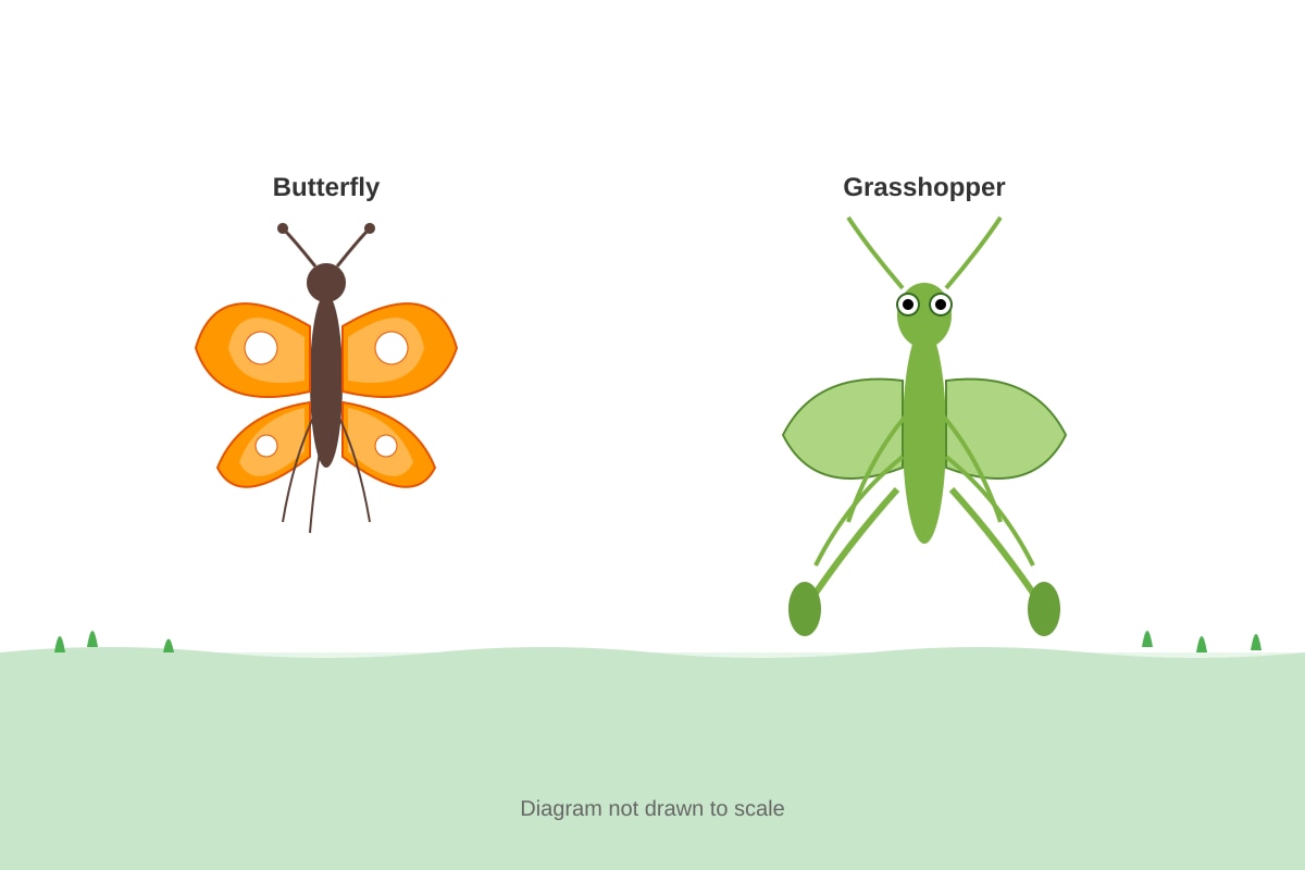 Illustration for placeholder 1 (P4 Science)