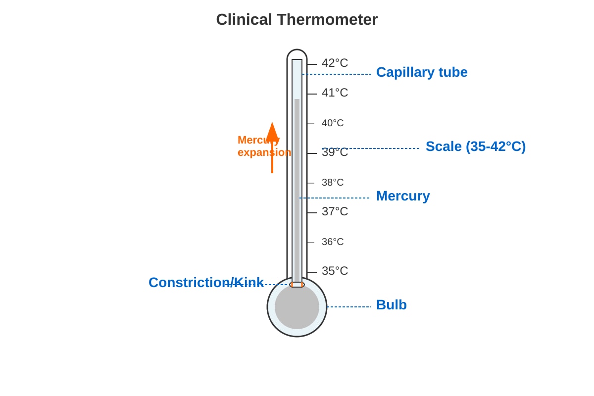 Diagram for Q20 (P5 Science)