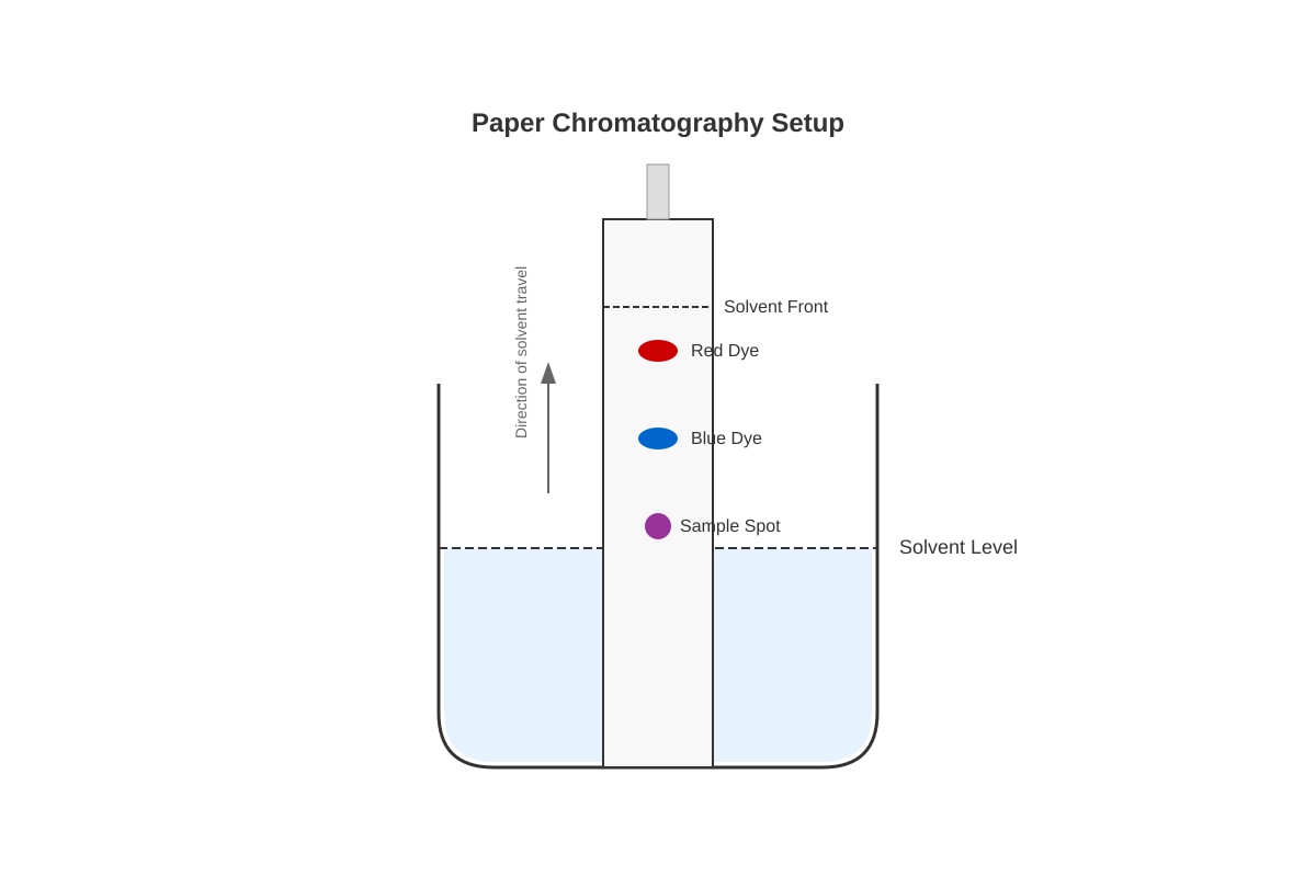 Diagram for placeholder 1 (SEC1 Science)