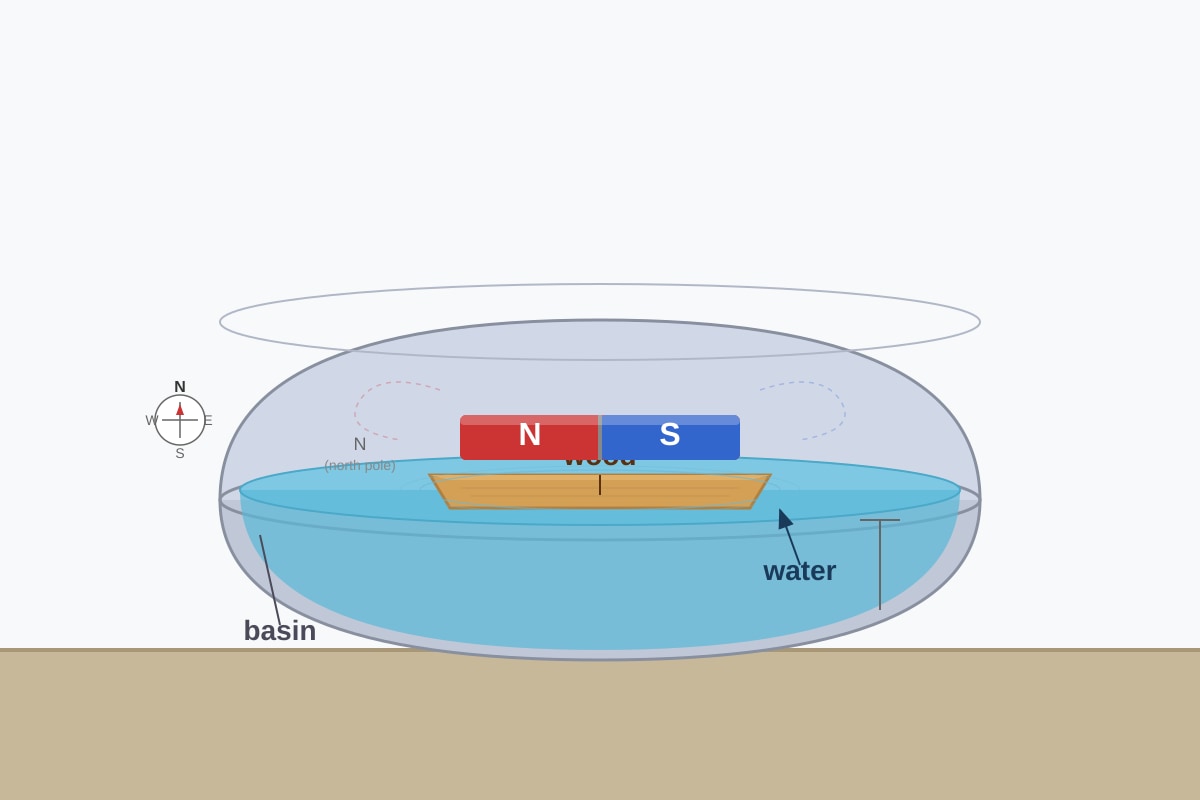 Diagram for Q19 (P3 Science)