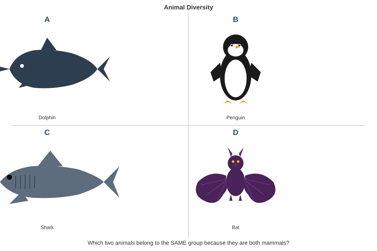 Diagram for Q8 (P4 Science)