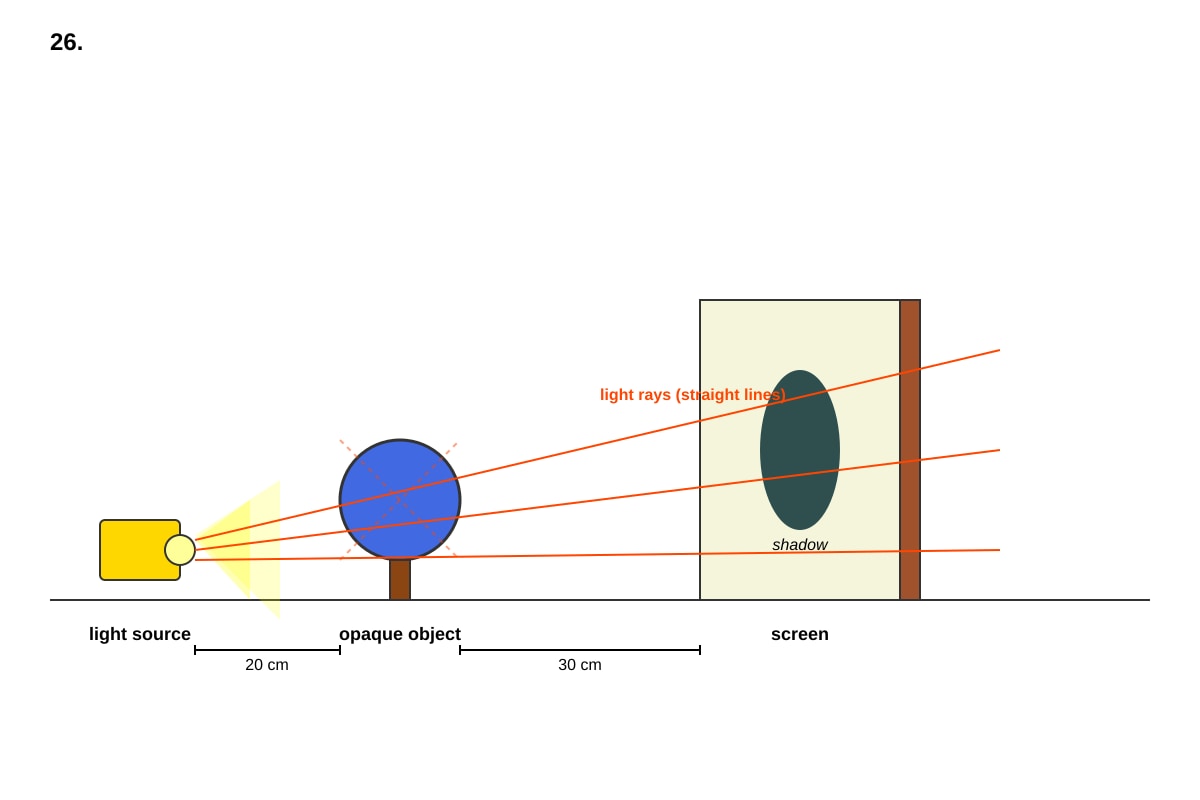 Diagram for Q26 (P5 Science)