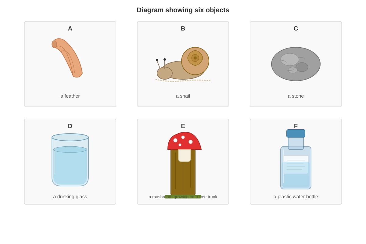 Diagram for Q10 (P3 Science)