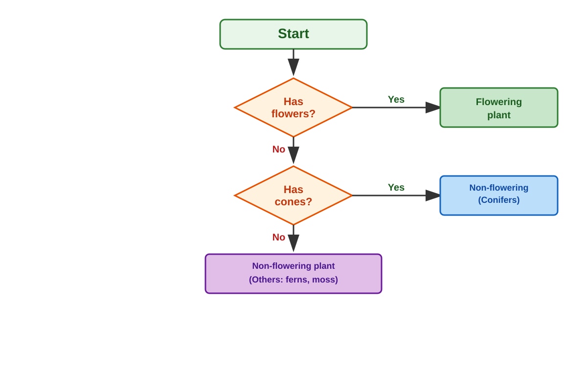 Diagram for Q15 (P3 Science)