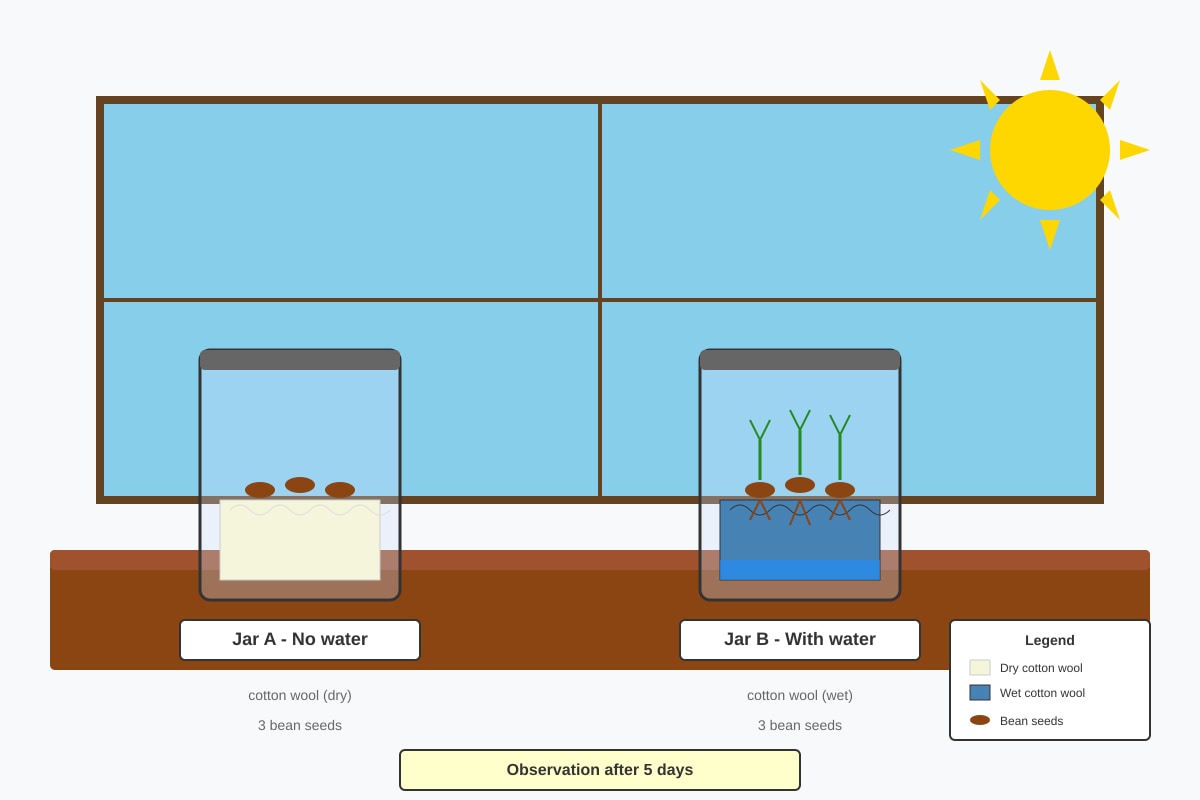 Experimental Setup for Q16 (P3 Science)