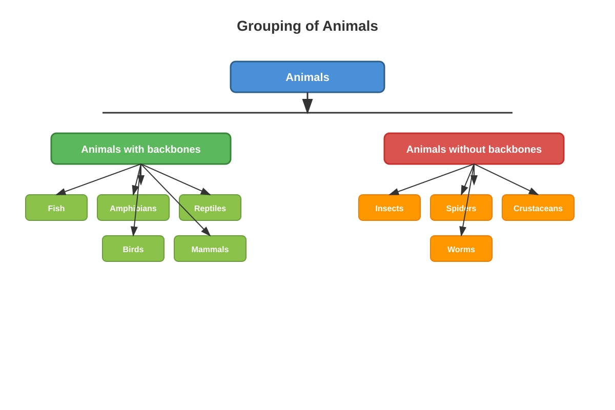 Diagram for Q6 (P4 Science)