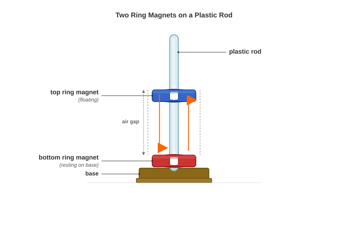 Diagram for Q19 (P3 Science)