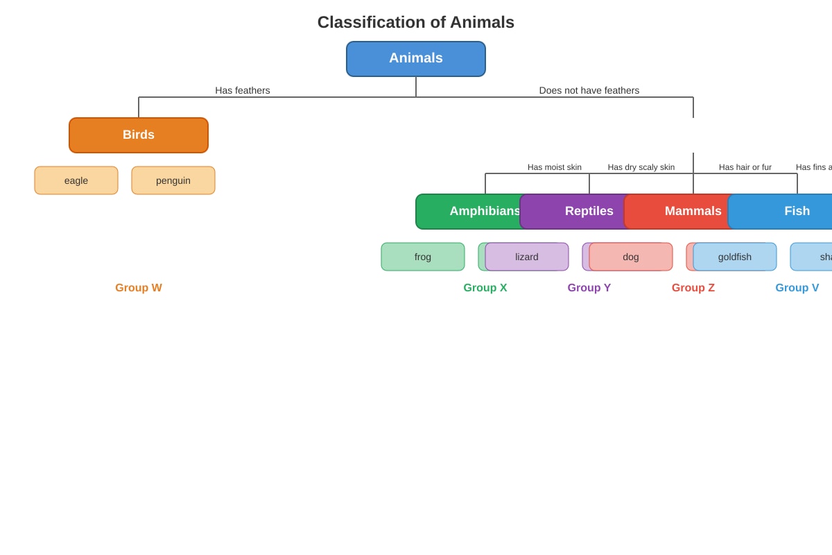 Diagram for Q10 (P3 Science)
