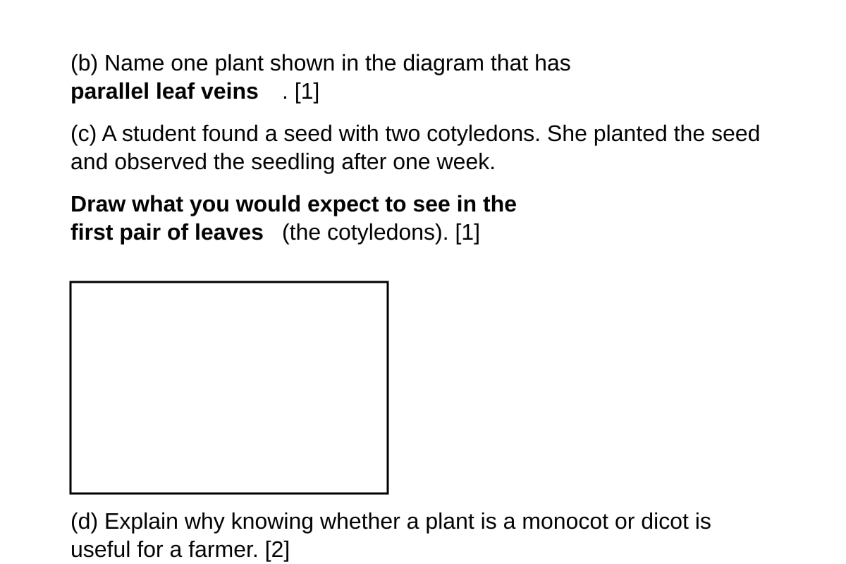 Diagram for Q19c (P4 Science)