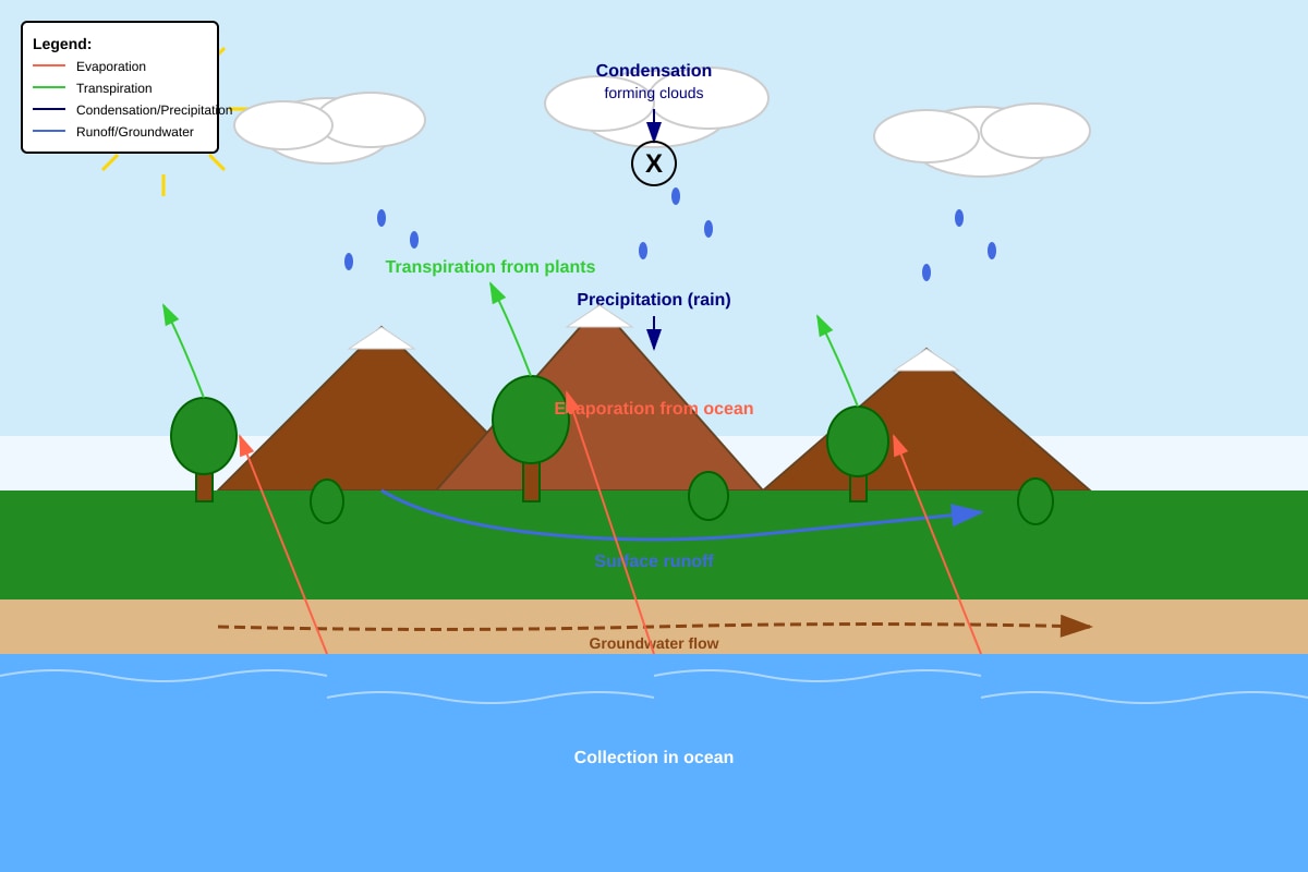 Diagram for Q36 (P6 Science)