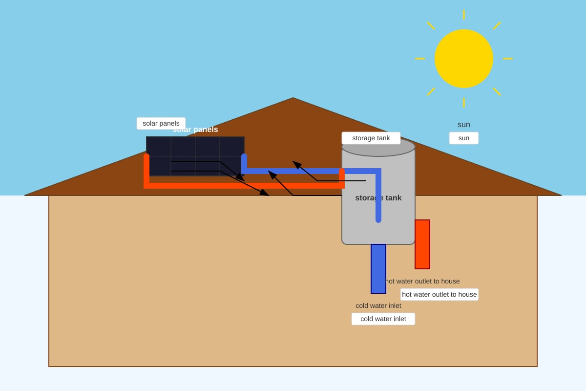 Diagram for Q12 (P6 Science)