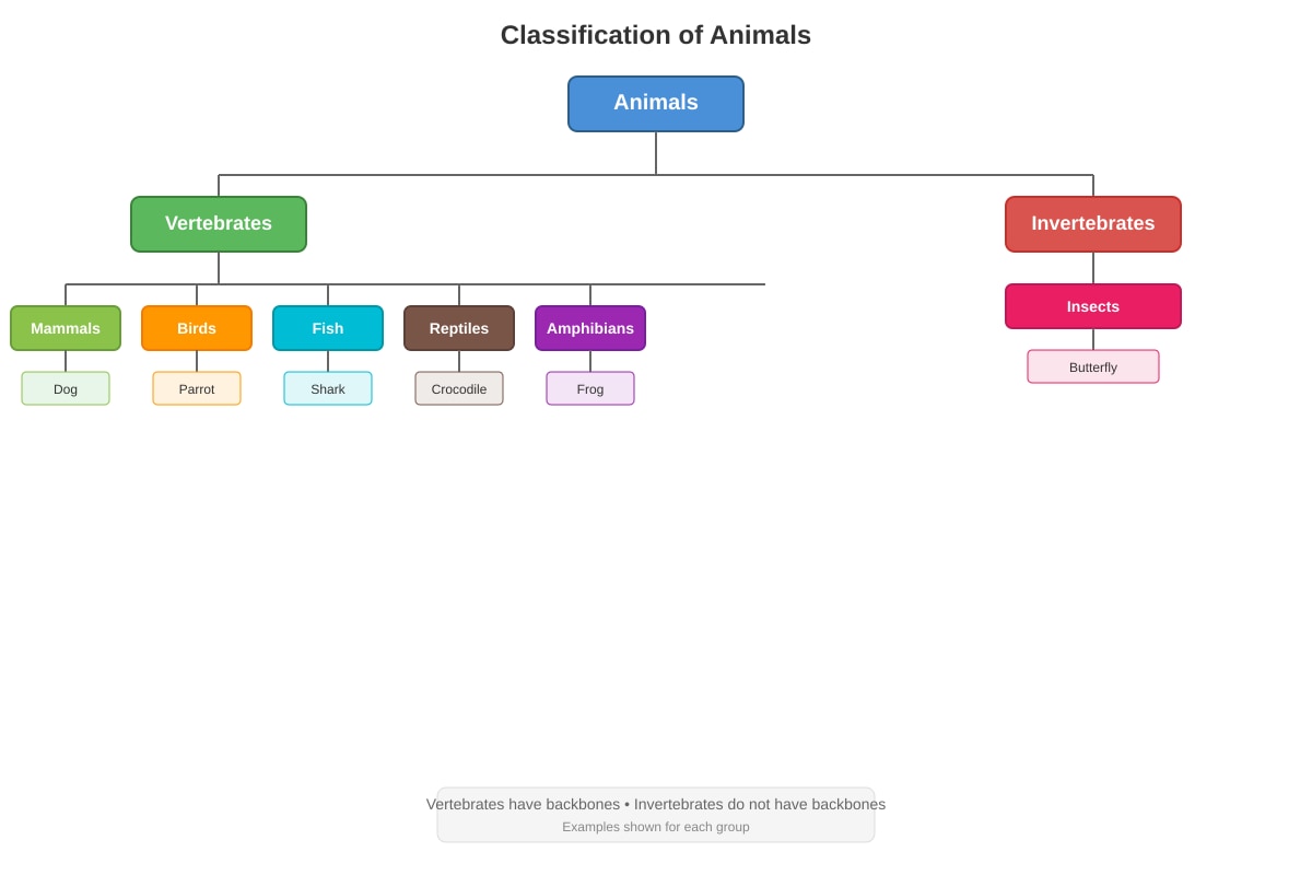 Chart for Q10 (P6 Science)