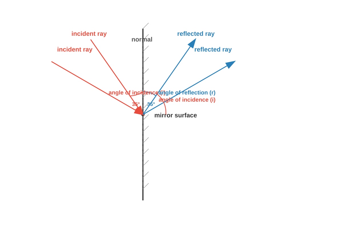 Diagram for Q5 (P5 Science)