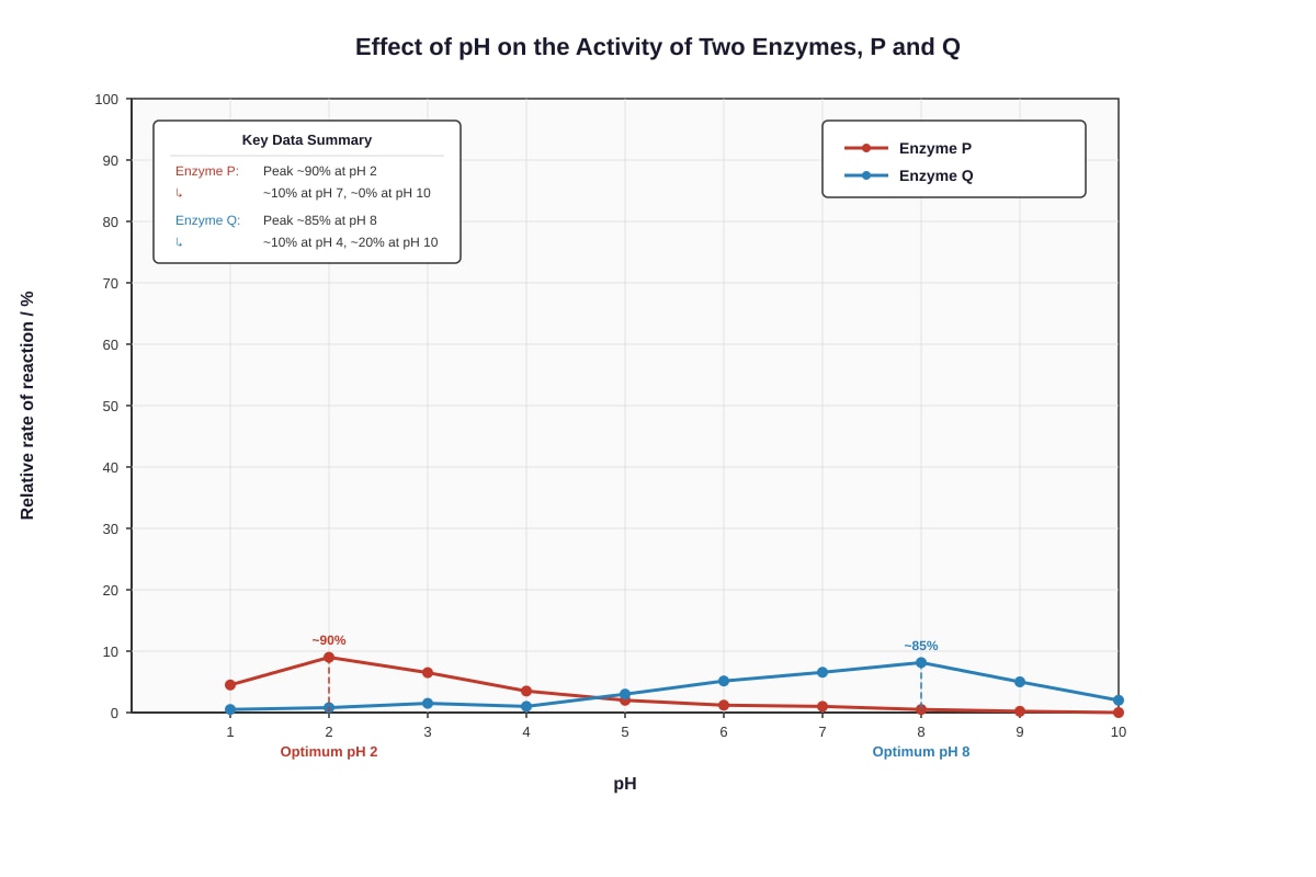 Graph for Q6 (SEC3 Biology)