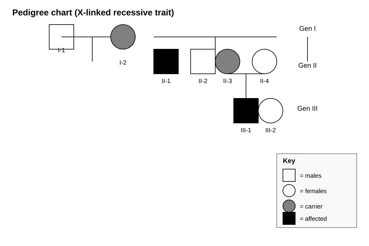 Diagram for Q12 (ALEVEL Biology H2)