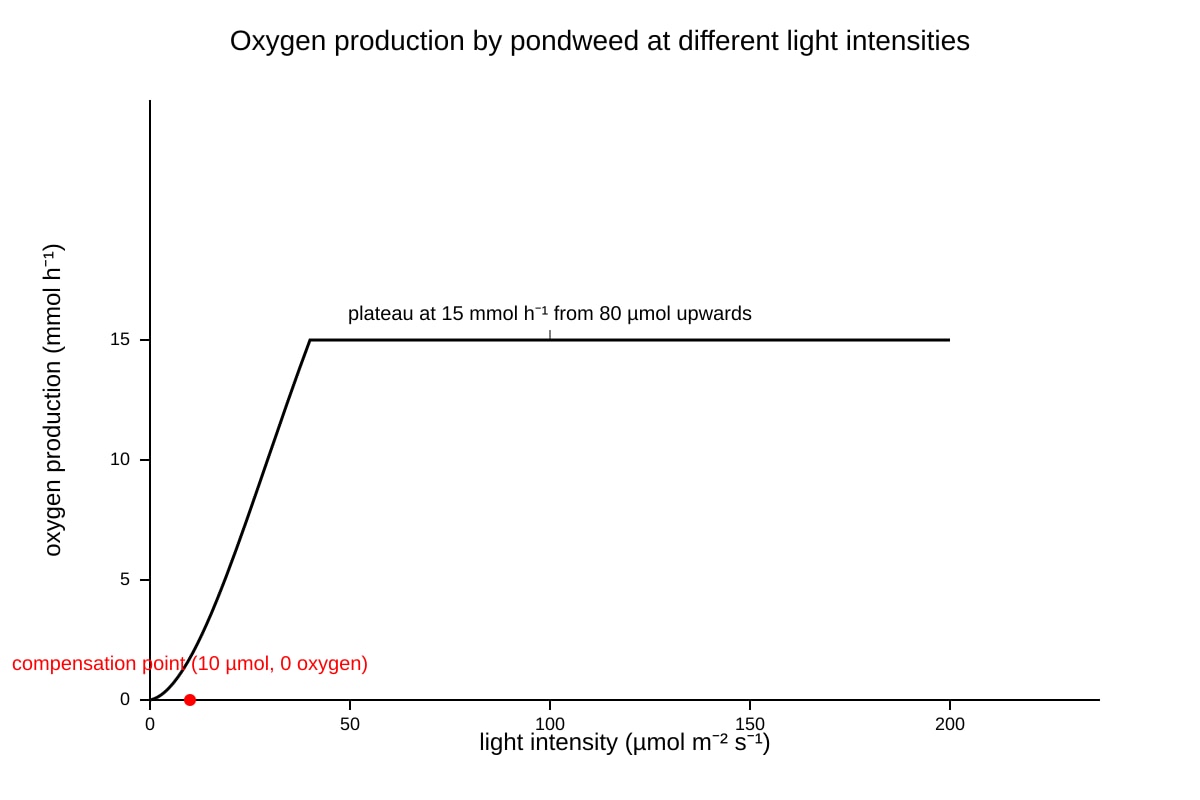 Graph for Q10 (ALEVEL Biology H2)