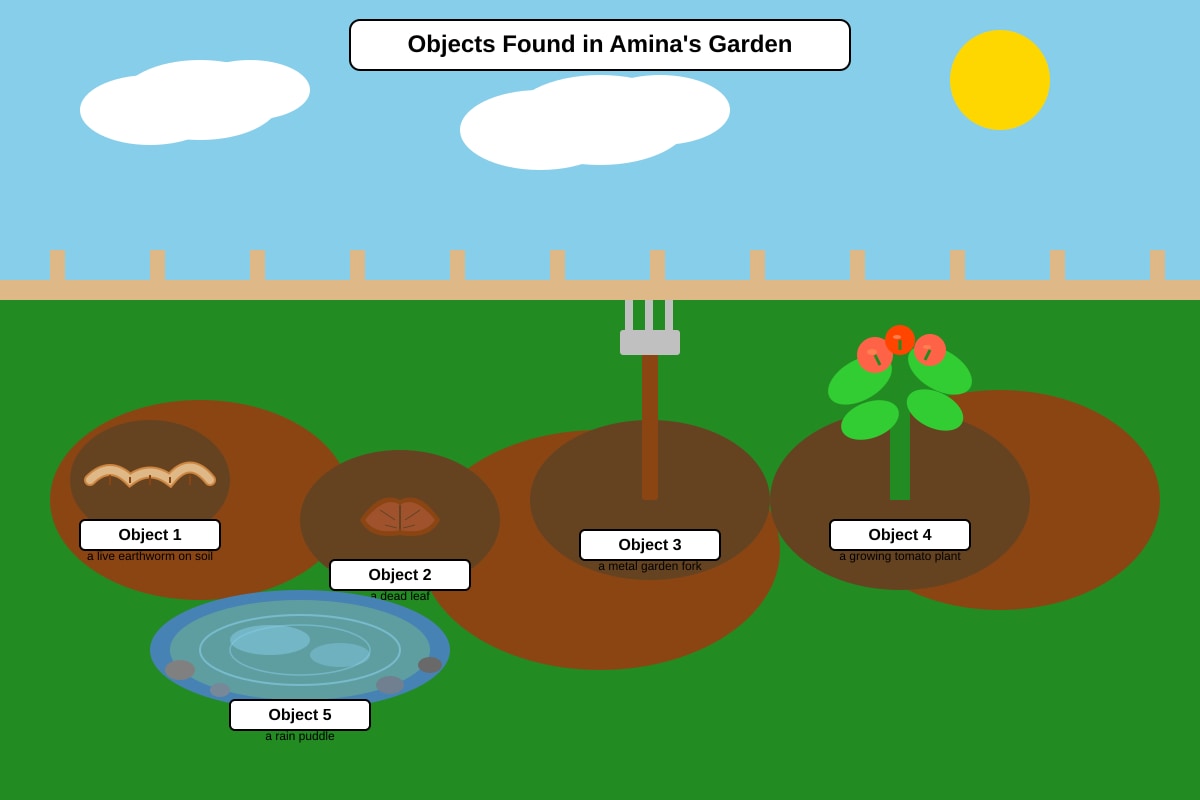Diagram for Q13 (P3 Science)