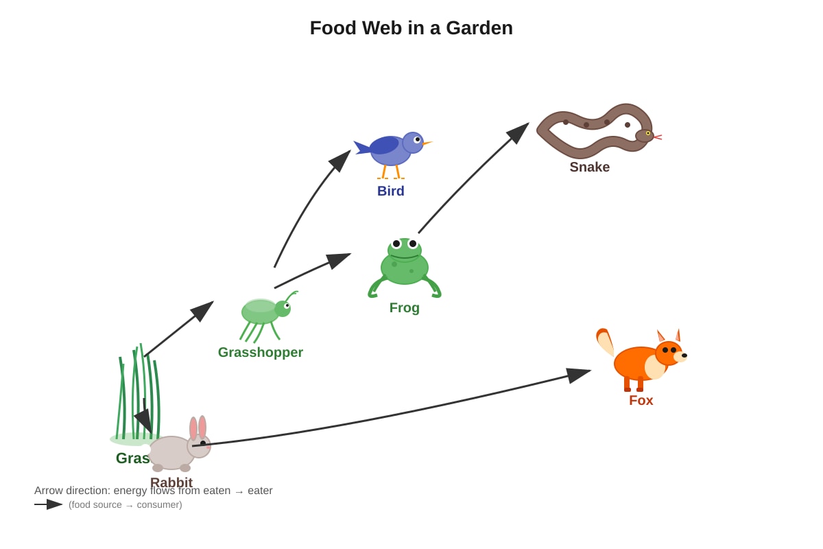 Diagram for Q5 (P5 Science)