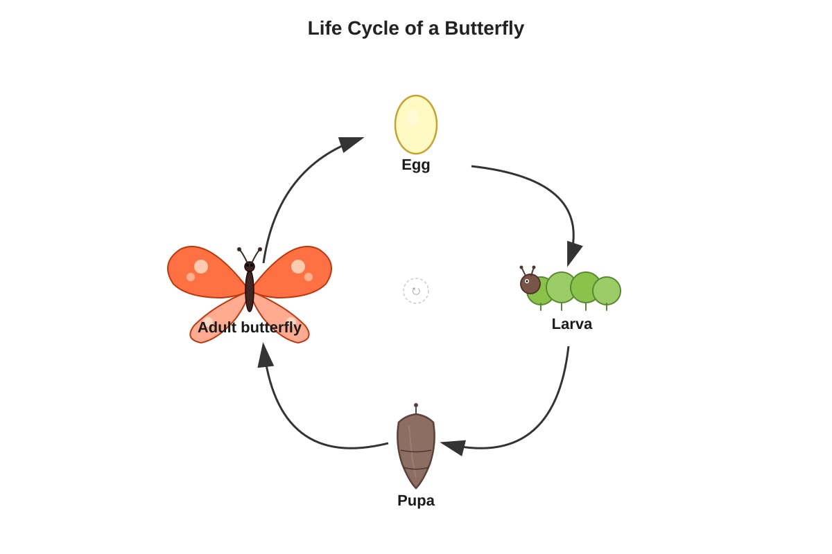 Diagram for Q3 (P3 Science)