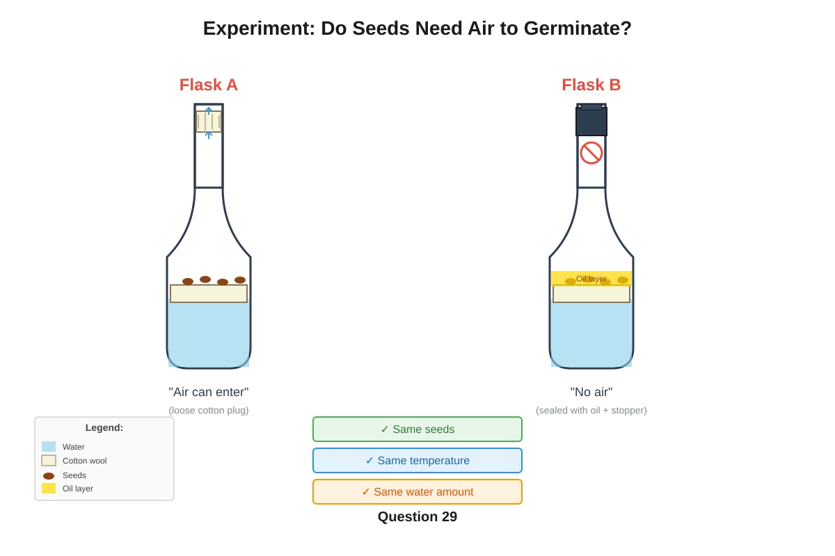 Experimental Setup for Q29 (P6 Science)