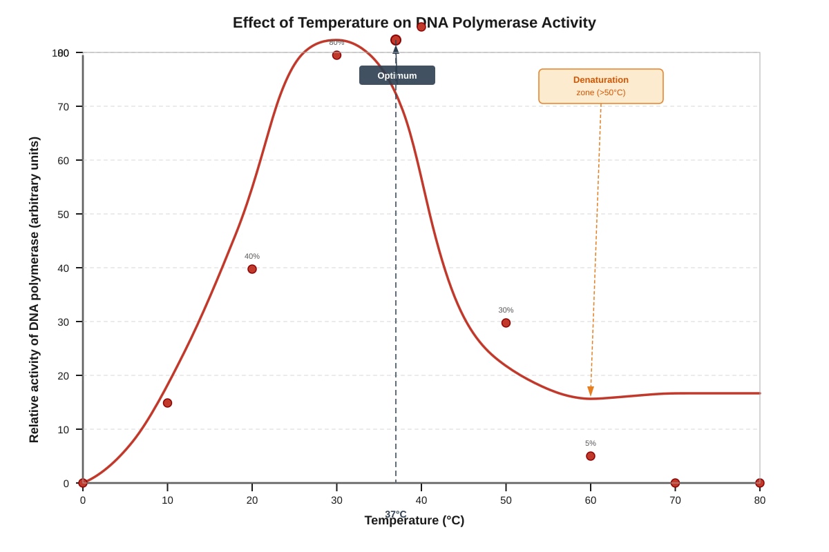 Graph for Q16 (SEC3 Biology)