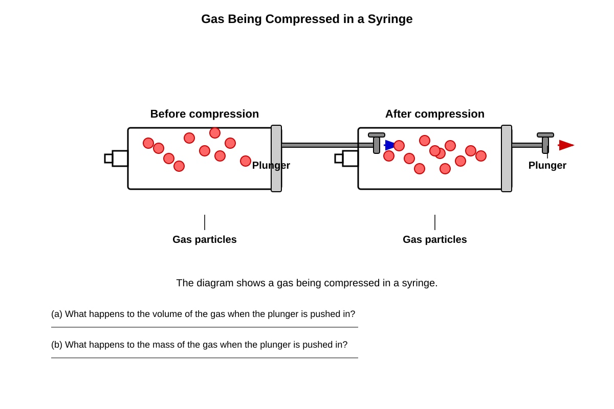 Diagram for Q15 (P4 Science)