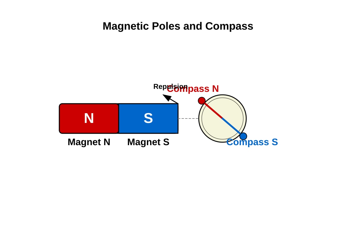 Diagram for Q19 (P5 Science)