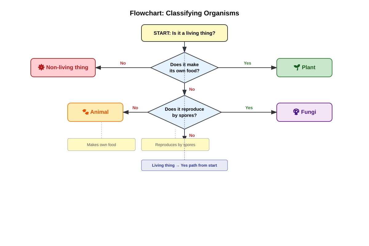 Diagram for Q6 (P4 Science)