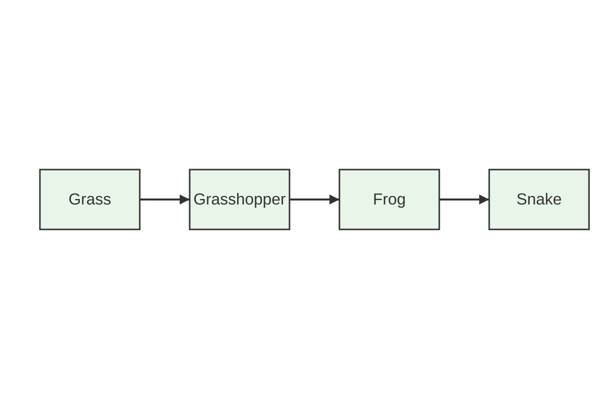 Diagram for Q11 (SEC3 Biology)