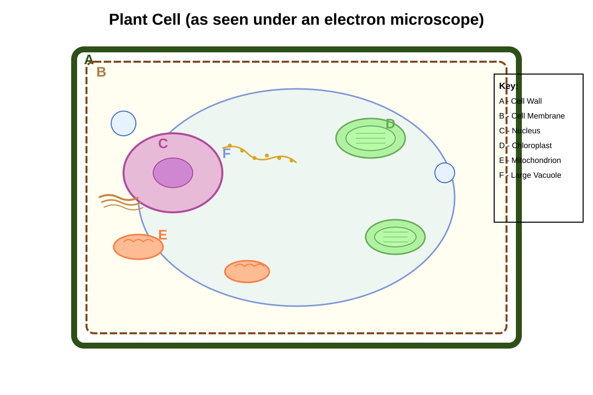 Diagram for placeholder 1 (SEC4 Pure Biology)